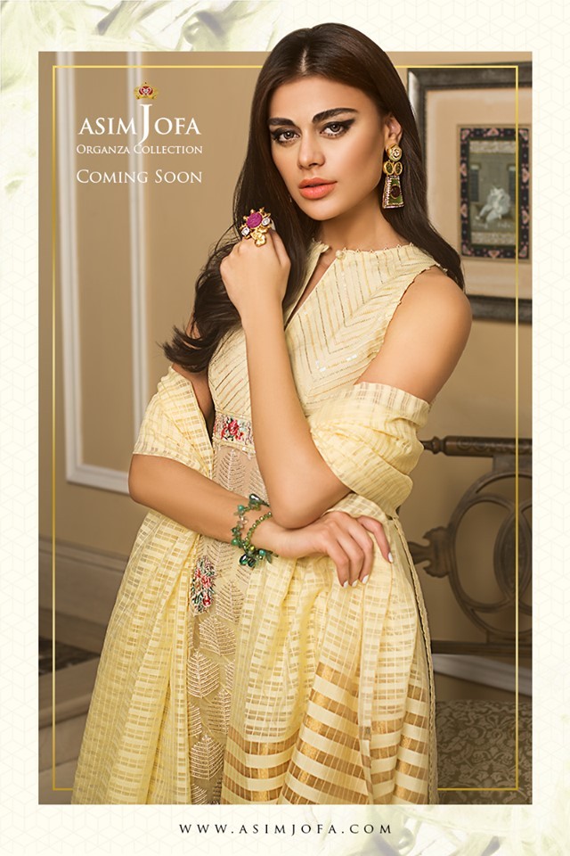 asim jofa lawn dresses 2019 organza collection