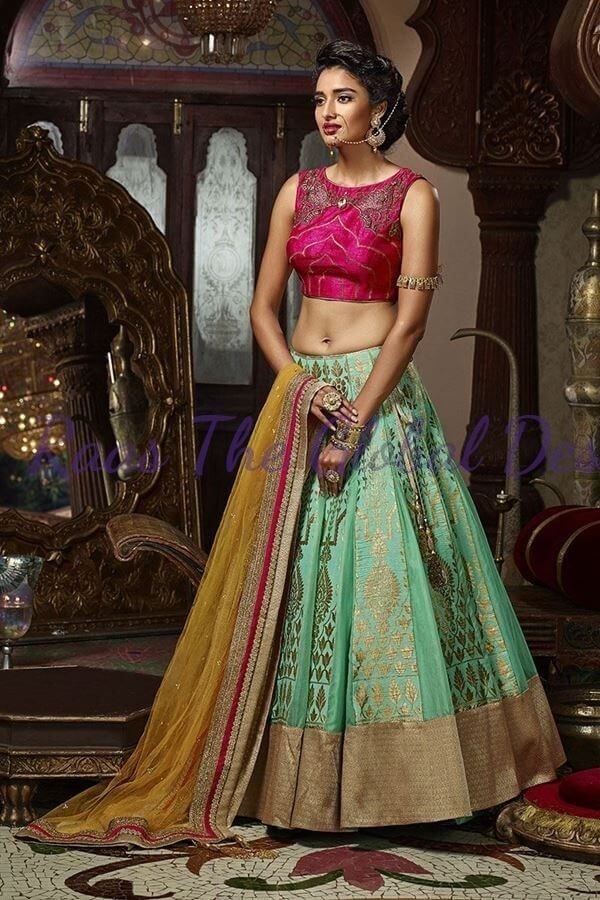 beautiful-paneled-lehenga-design